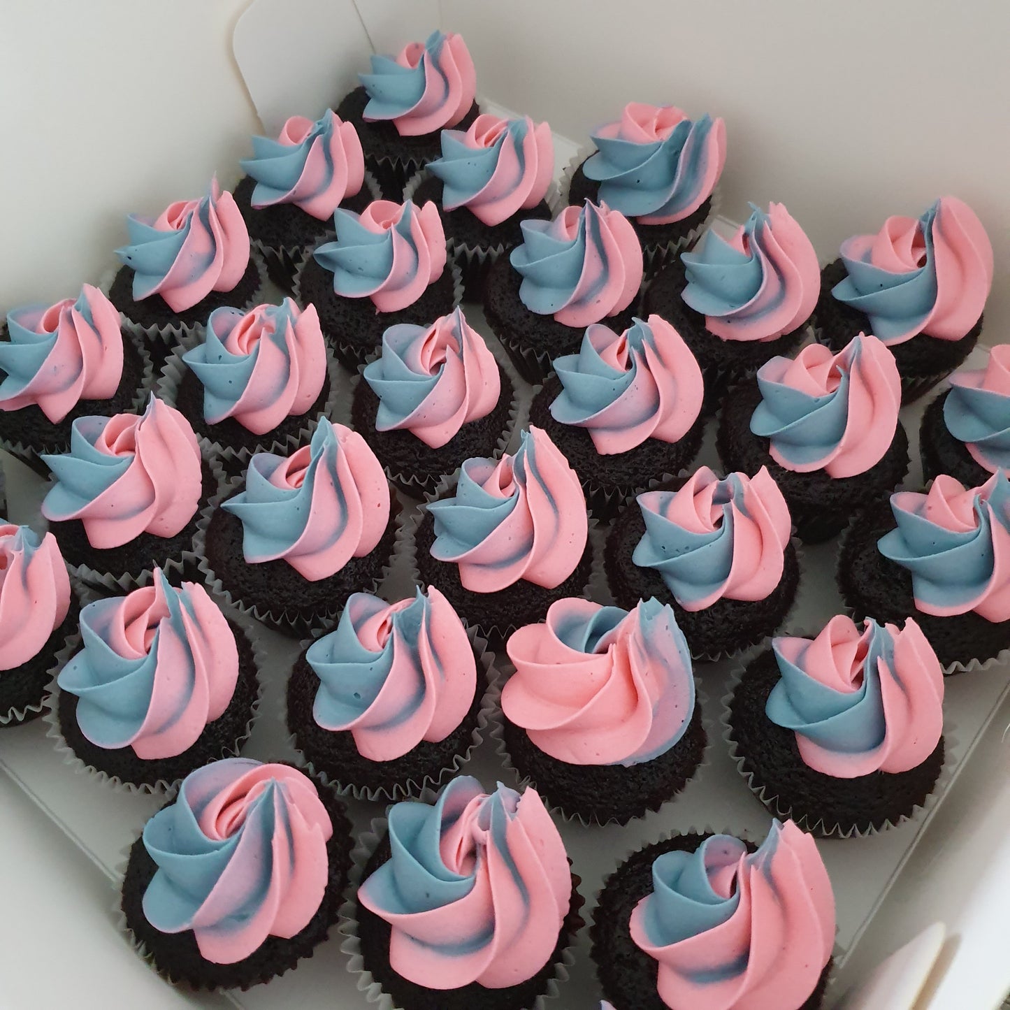 Ombre Mini Cupcakes