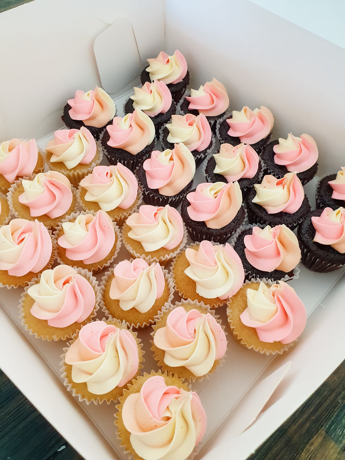 Ombre Mini Cupcakes
