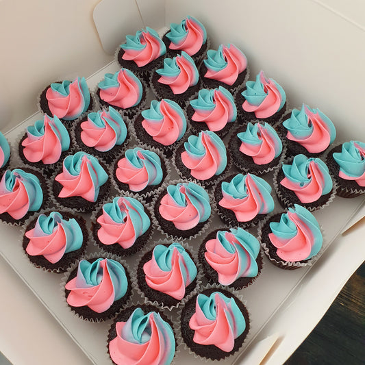 Ombre Mini Cupcakes