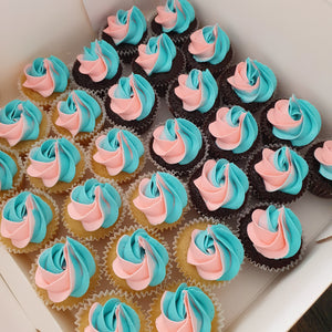Ombre Mini Cupcakes