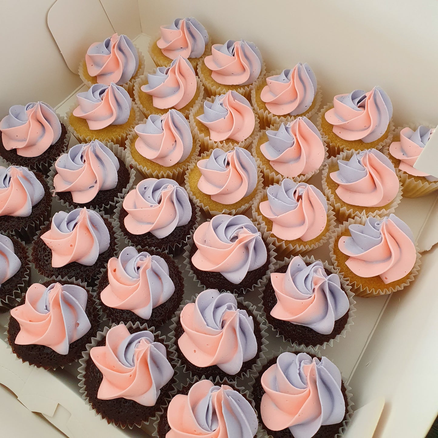 Ombre Mini Cupcakes