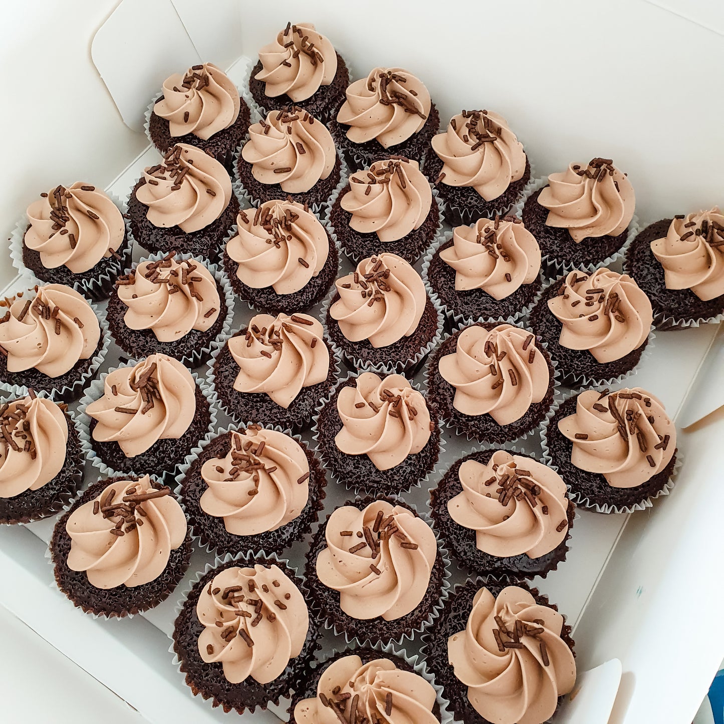 Classic Chocolate Mini Cupakes