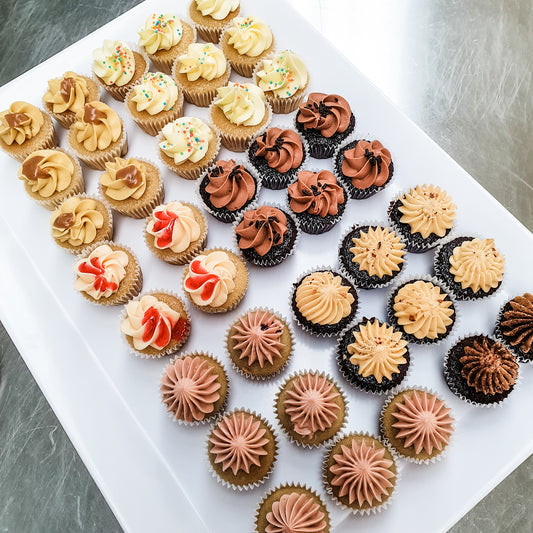 Assorted Mini Cupcakes